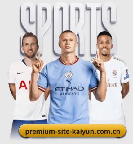 本站五个常用功能入口,赛程查询路径更短 | kaiyun