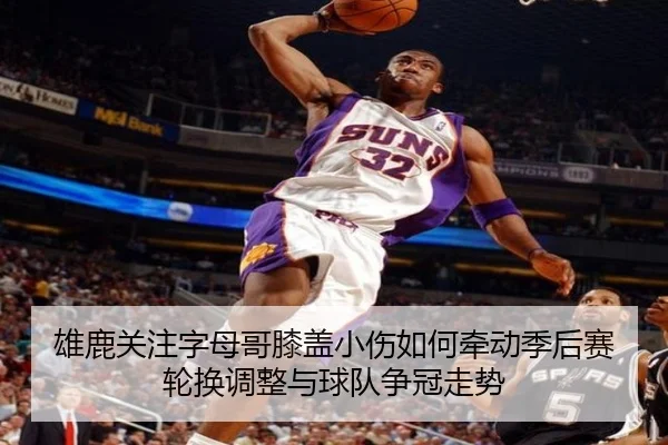 雄鹿关注字母哥膝盖小伤如何牵动季后赛轮换调整与球队争冠走势